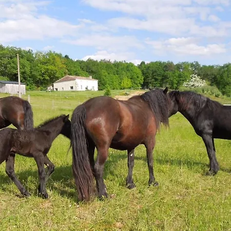 Gæstehus D'hotes Du Peyral Caubon-Saint-Sauveur